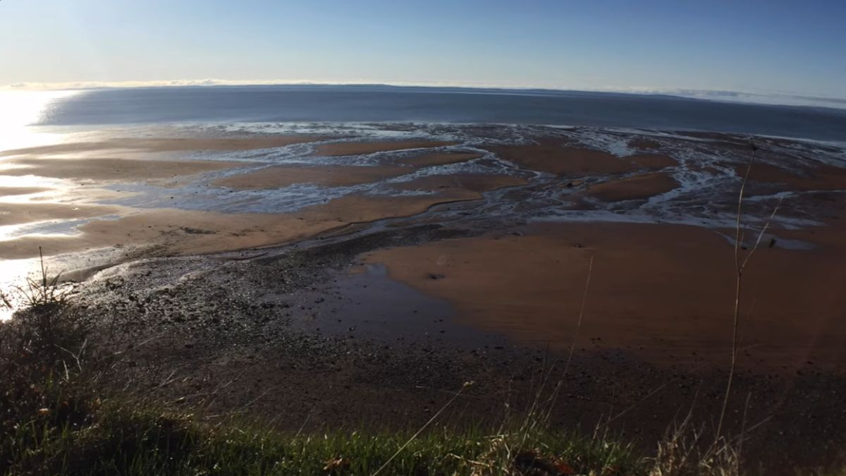 Scott Archibald film music2